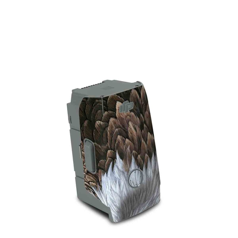 DJI Air 2S Battery Skin design of Bird, Bald eagle, Bird of prey, Vertebrate, Accipitriformes, Accipitridae, Eagle, Nature, Beak, Kite, with blue, brown, white, yellow colors