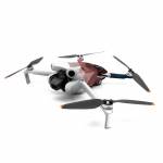 Journeying Inward DJI Mini 4 Pro Skin