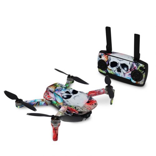 Visionary DJI Mavic Mini Skin