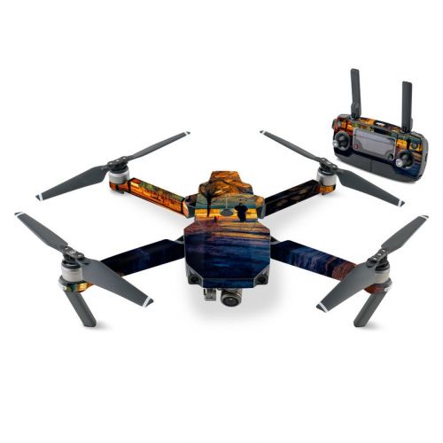 Man and Dog DJI Mavic Pro Skin