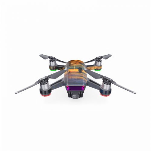 Man and Dog DJI Spark Skin