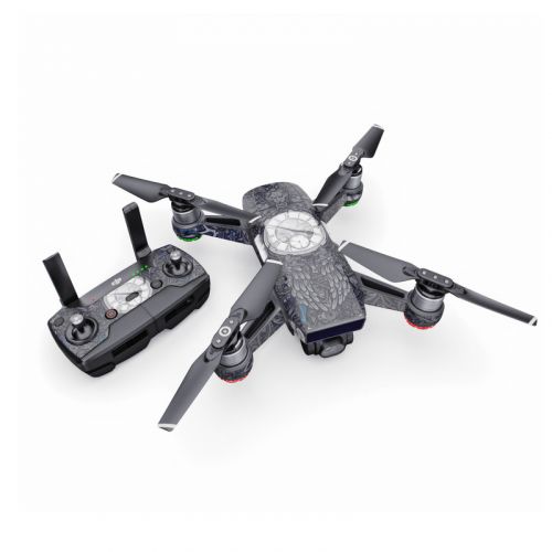 Time Travel DJI Spark Skin
