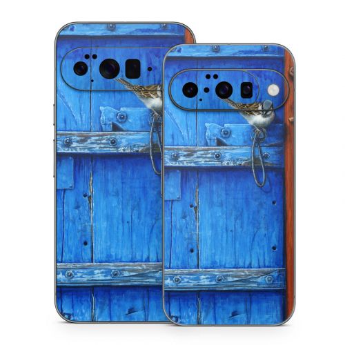 Blue Door Google Pixel 10 Series Skin