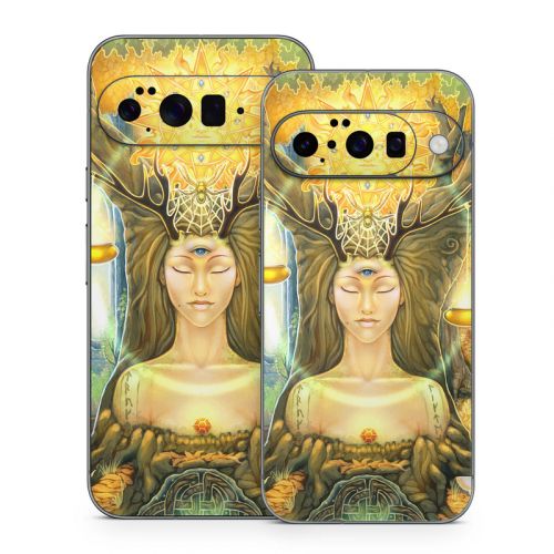 Cause And Effect Google Pixel 10 Series Skin