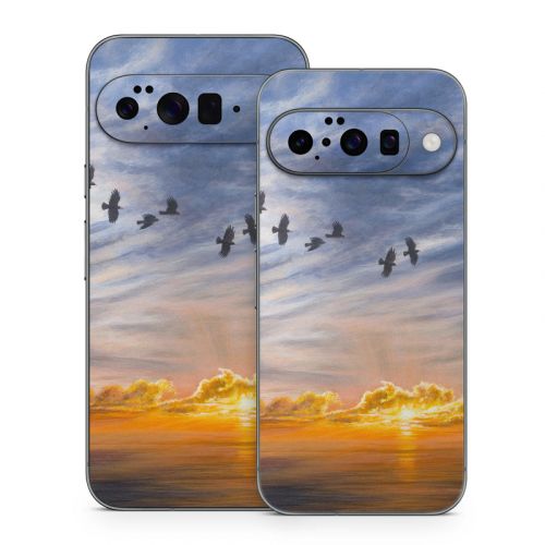 Equinox Google Pixel 10 Series Skin