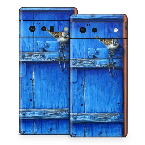 Blue Door Google Pixel 6 Series Skin
