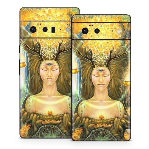 Cause And Effect Google Pixel 6 Series Skin