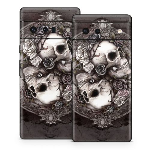 Dioscuri Google Pixel 6 Series Skin