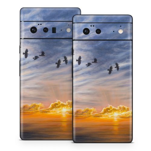 Equinox Google Pixel 6 Series Skin