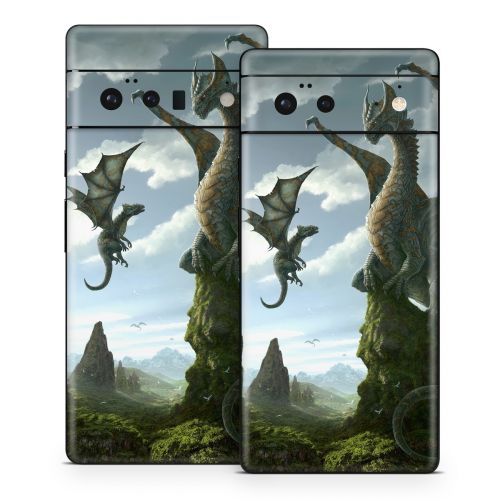 First Lesson Google Pixel 6 Series Skin