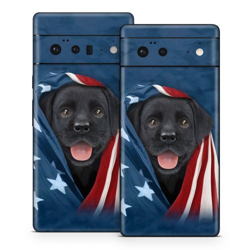 Patriotic Lab Google Pixel 6 Series Skin