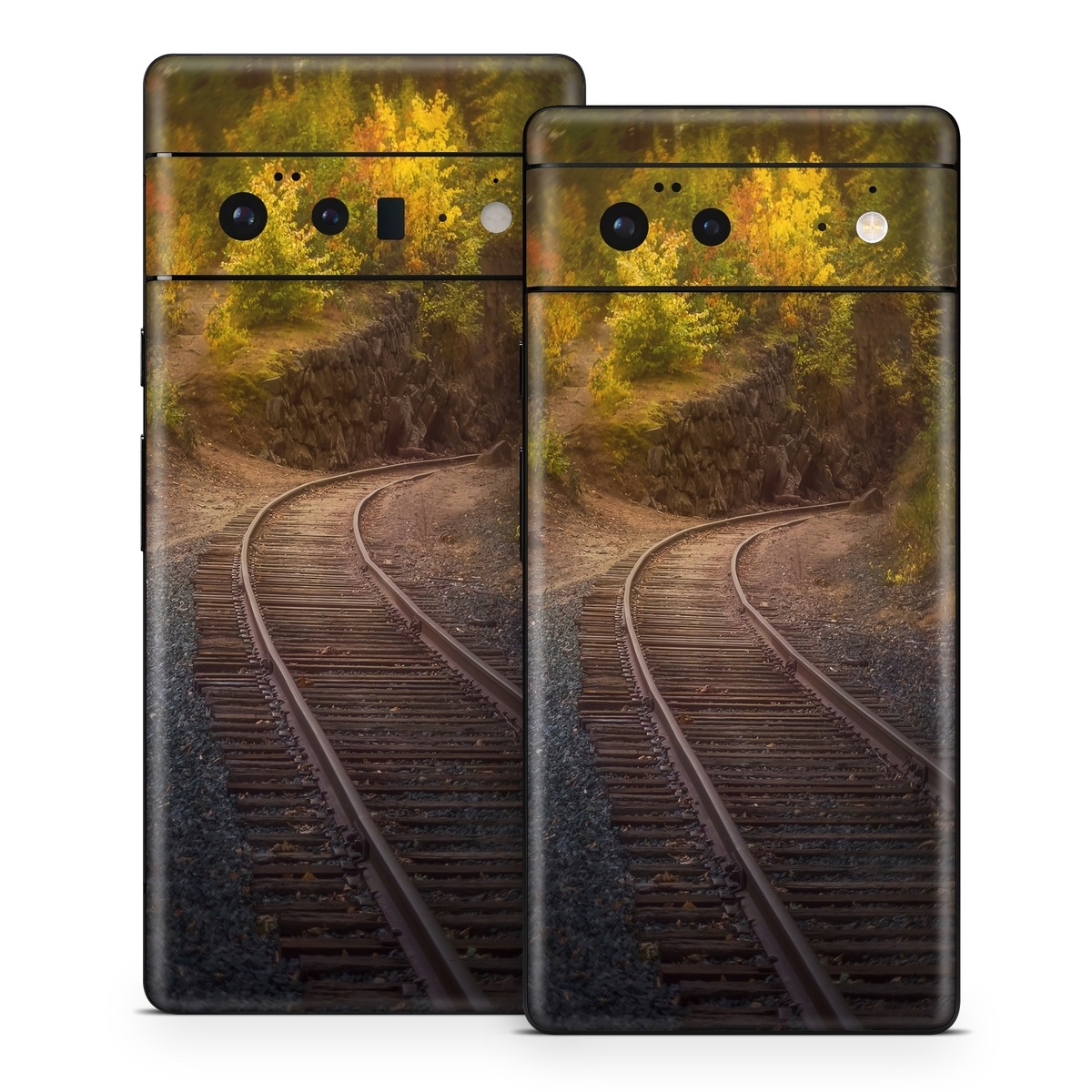 Google Pixel 6 Series Skin design of Plant, Wood, Branch, Natural landscape, Road surface, Track, Grass, Tree, Thoroughfare, Twig, with brown, gray, yellow, orange, green, red colors