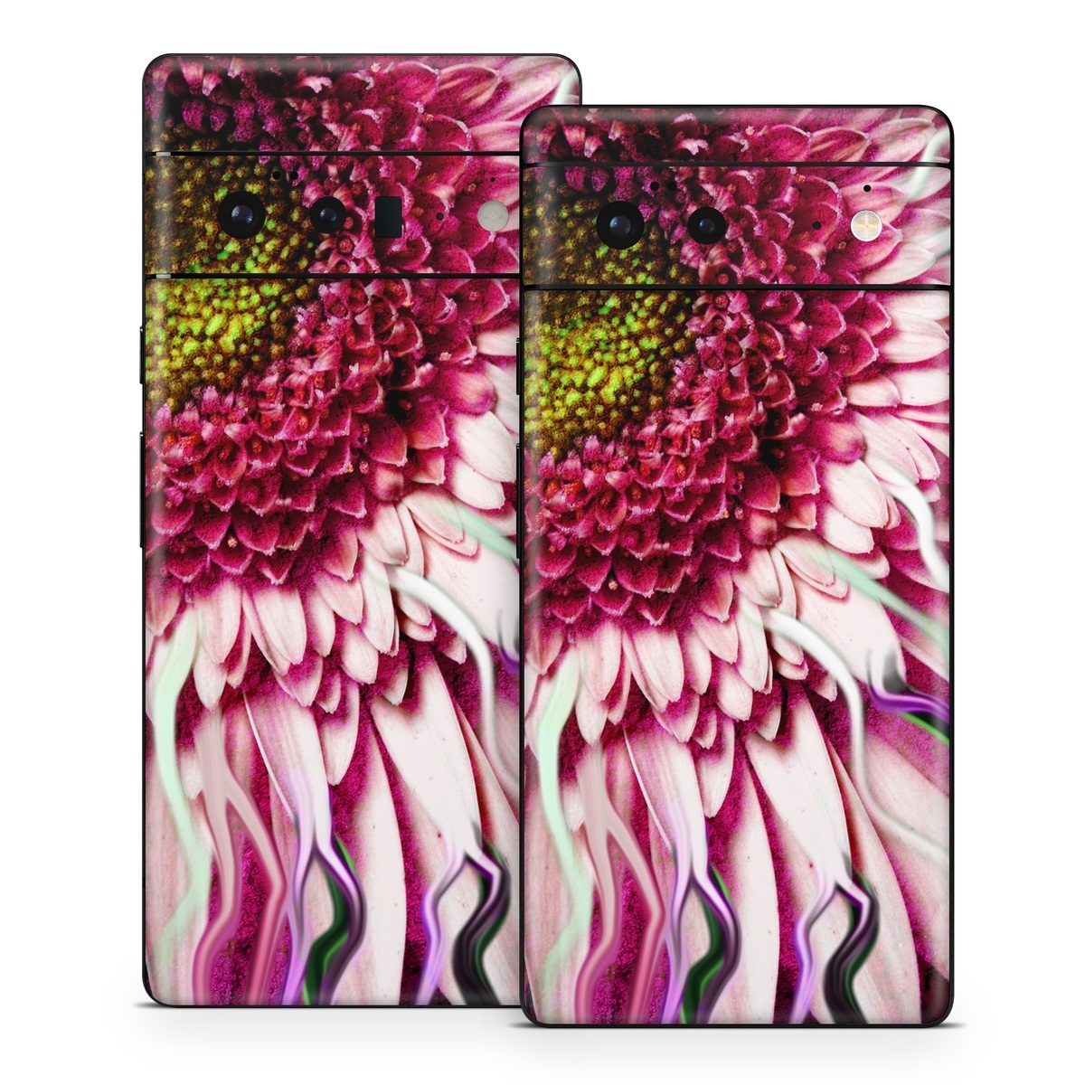 Google Pixel 6 Series Skin design of Flowering plant, Flower, Petal, Plant, Purple, Pink, Gazania, Violet, Gerbera, Chrysanths, with black, gray, red, purple, pink, white colors