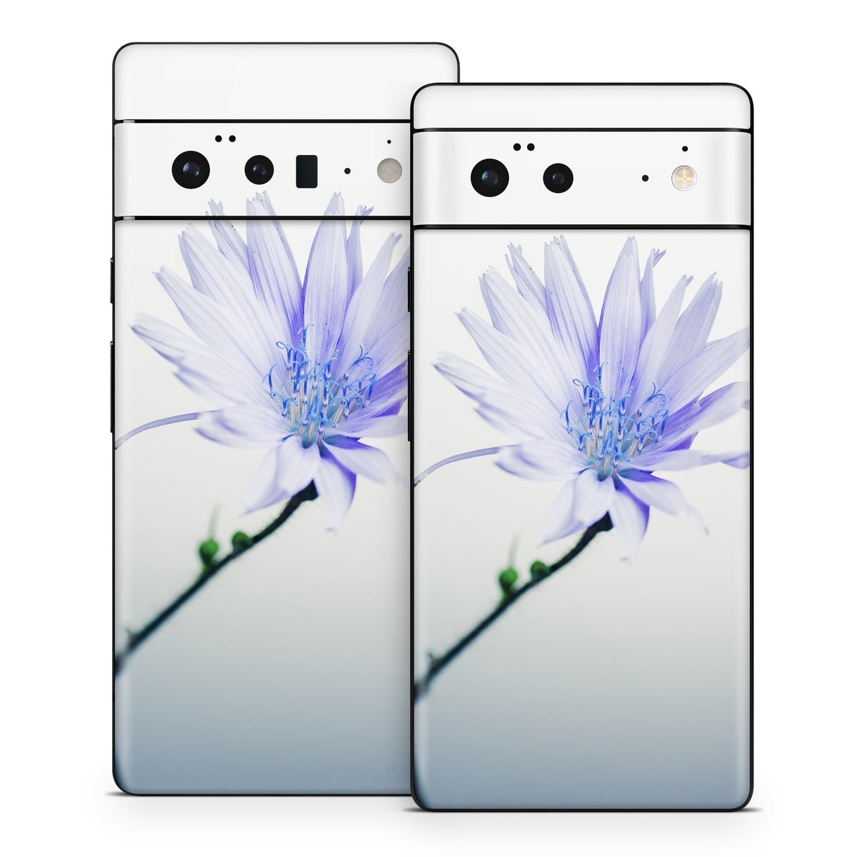 Google Pixel 6 Series Skin design of Blue, Flower, Plant, Petal, Close-up, Macro photography, Flowering plant, Herbaceous plant, Wildflower, Photography, with gray, white, yellow colors