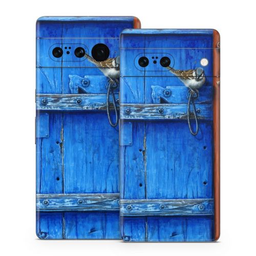 Blue Door Google Pixel 7 Series Skin