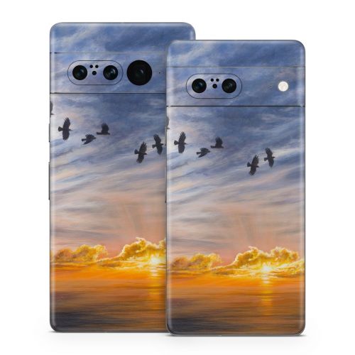 Equinox Google Pixel 7 Series Skin