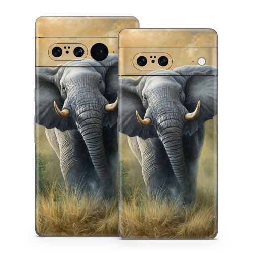 Right of Way Google Pixel 7 Series Skin