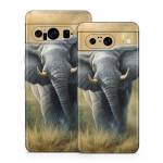 Right of Way Google Pixel 8 Series Skin