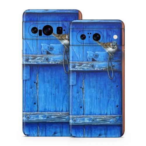 Blue Door Google Pixel 8 Series Skin