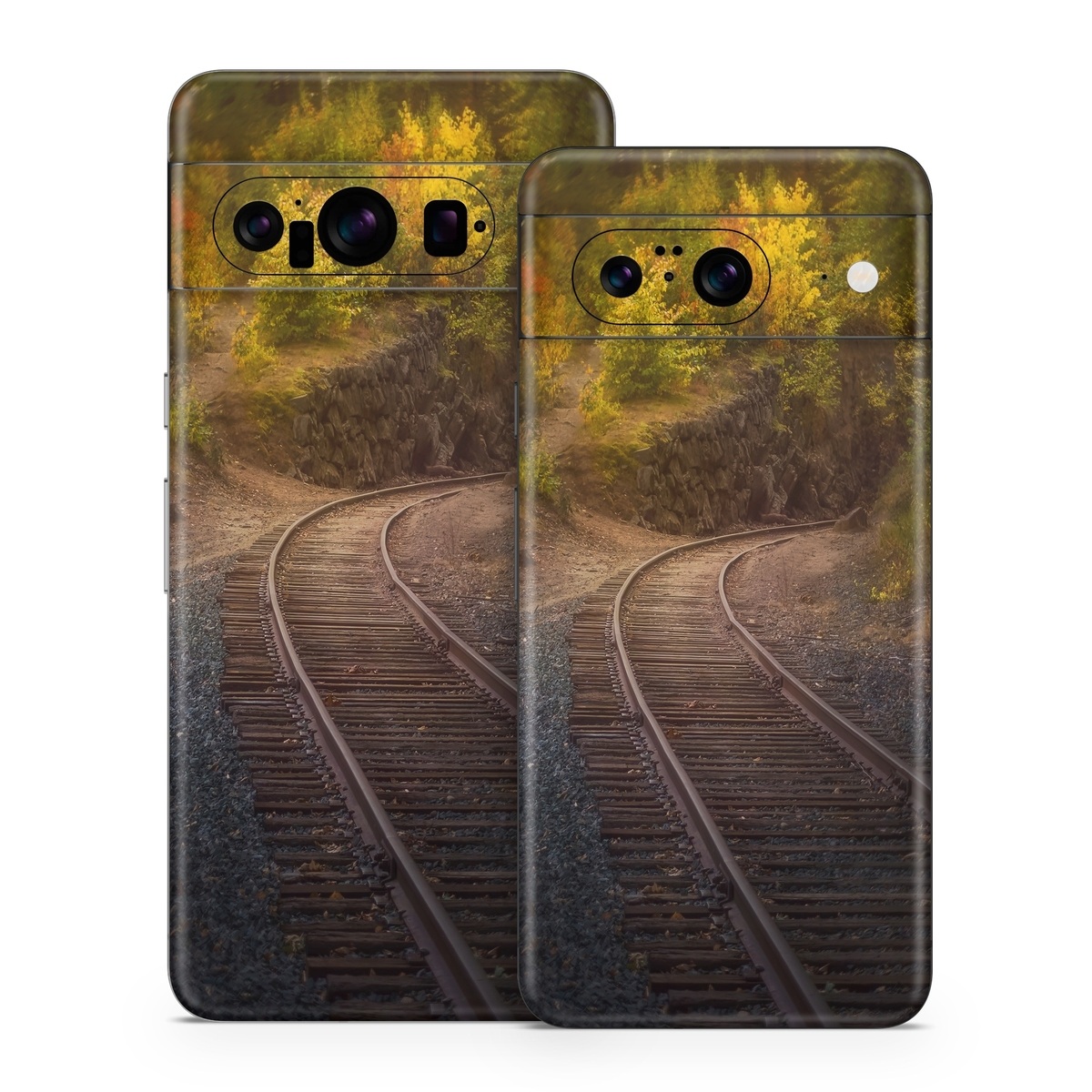 Google Pixel 8 Series Skin design of Plant, Wood, Branch, Natural landscape, Road surface, Track, Grass, Tree, Thoroughfare, Twig, with brown, gray, yellow, orange, green, red colors