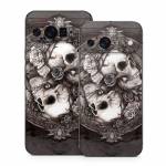Dioscuri Google Pixel 9 Series Skin