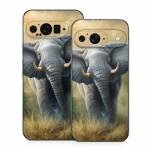 Right of Way Google Pixel 9 Series Skin
