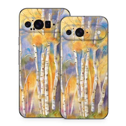 Aspens Google Pixel 9 Series Skin