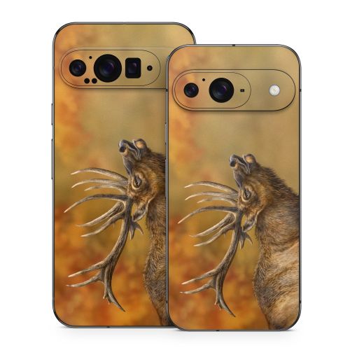 Bugle Boy Google Pixel 9 Series Skin