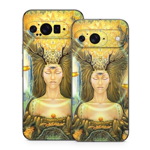 Cause And Effect Google Pixel 9 Series Skin