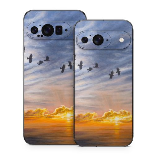 Equinox Google Pixel 9 Series Skin