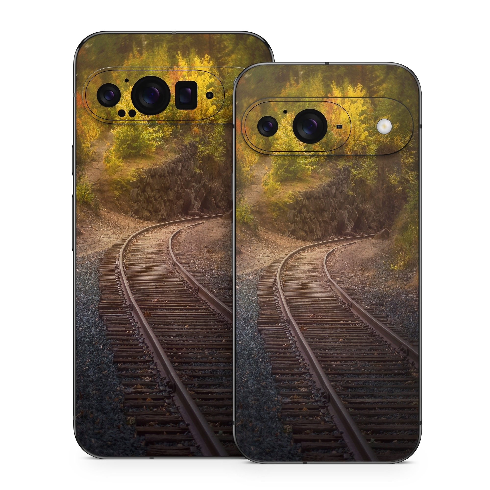 Google Pixel 9 Series Skin design of Plant, Wood, Branch, Natural landscape, Road surface, Track, Grass, Tree, Thoroughfare, Twig, with brown, gray, yellow, orange, green, red colors