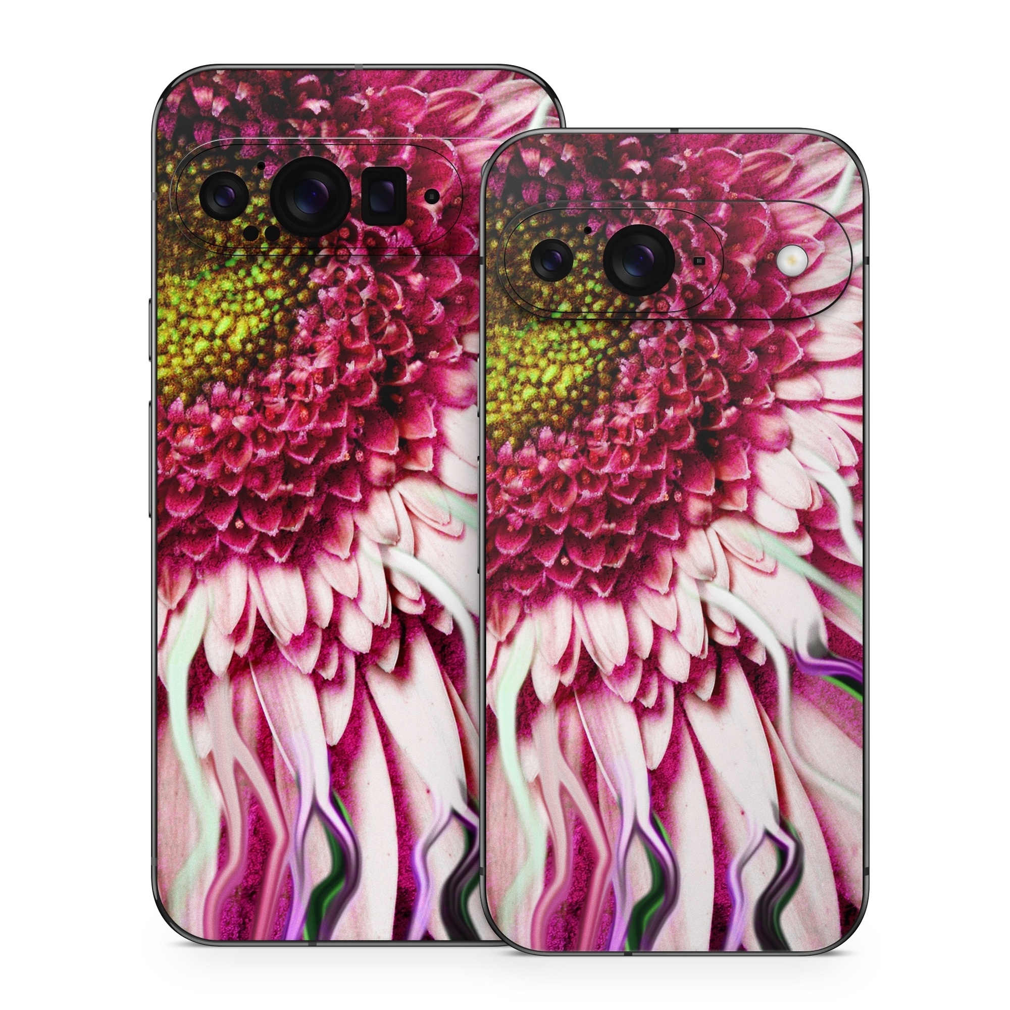 Google Pixel 9 Series Skin design of Flowering plant, Flower, Petal, Plant, Purple, Pink, Gazania, Violet, Gerbera, Chrysanths, with black, gray, red, purple, pink, white colors