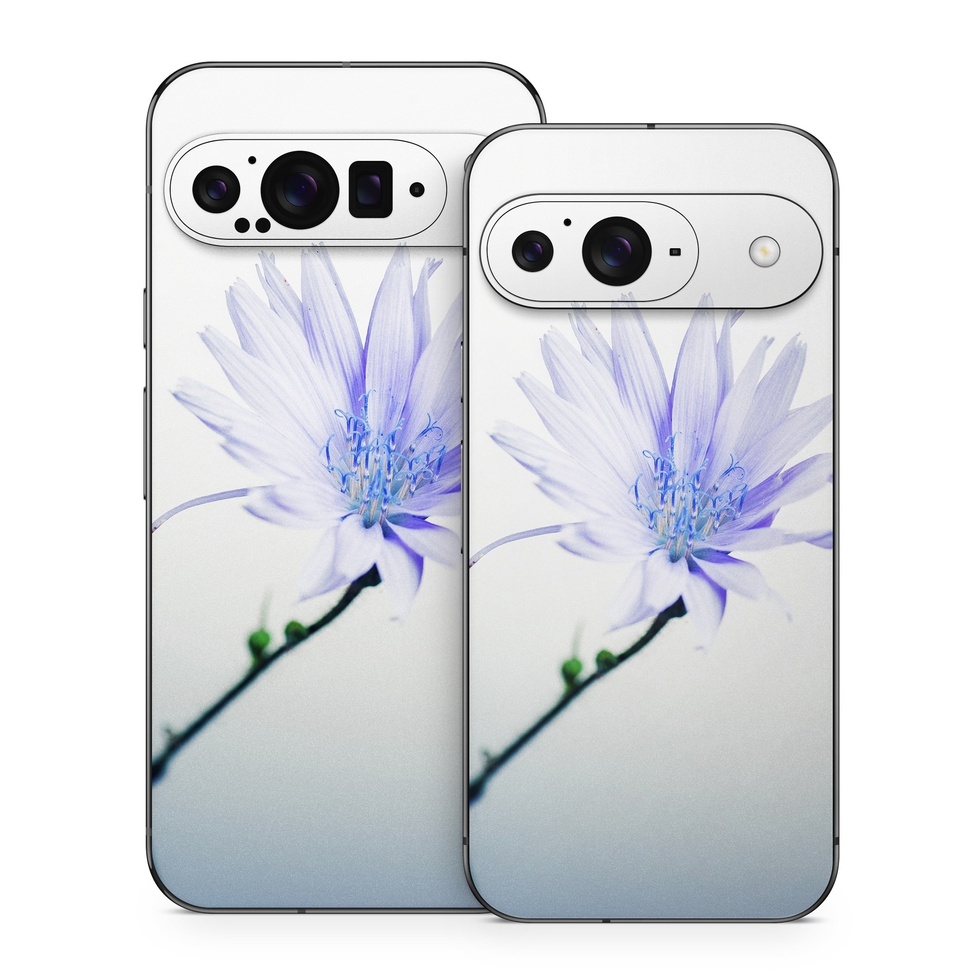 Google Pixel 9 Series Skin design of Blue, Flower, Plant, Petal, Close-up, Macro photography, Flowering plant, Herbaceous plant, Wildflower, Photography, with gray, white, yellow colors