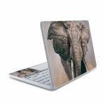 African Elephant HP Chromebook 11 Skin