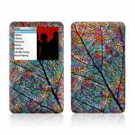 Stained Aspen iPod classic Skin