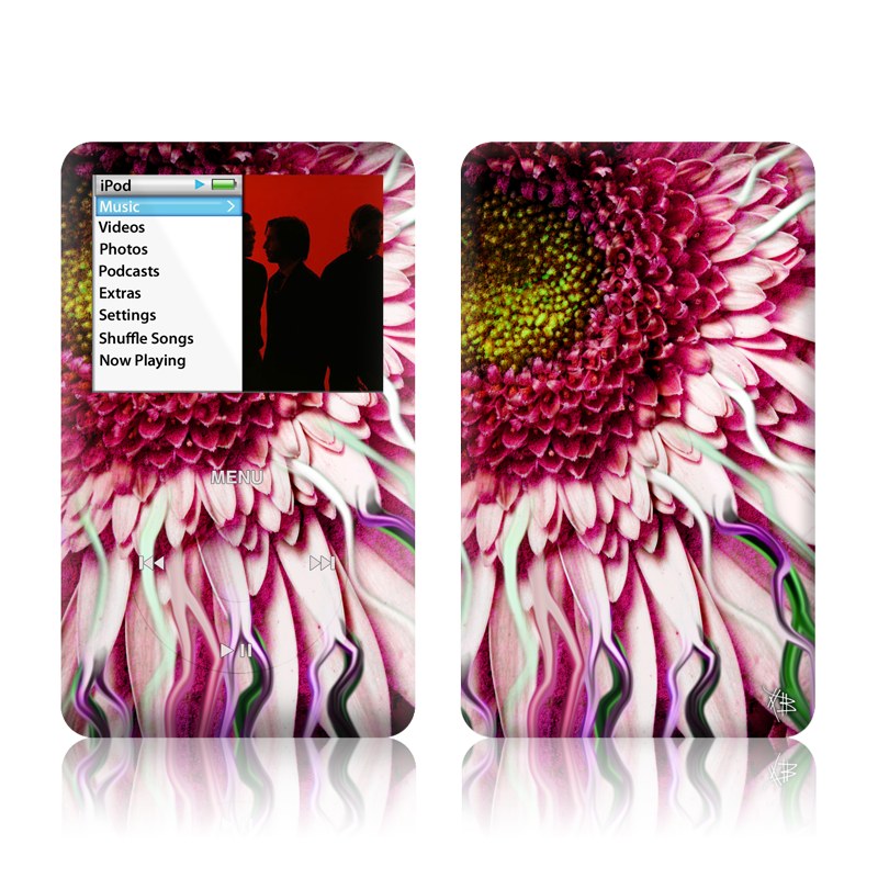iPod classic Skin design of Flowering plant, Flower, Petal, Plant, Purple, Pink, Gazania, Violet, Gerbera, Chrysanths, with black, gray, red, purple, pink, white colors