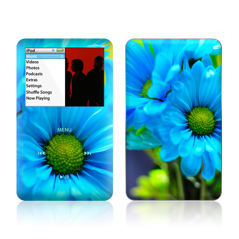 iPod classic Skin design of Blue, Flower, Petal, Green, Plant, Cobalt blue, Yellow, Flowering plant, Gerbera, Electric blue, with blue, black, green colors