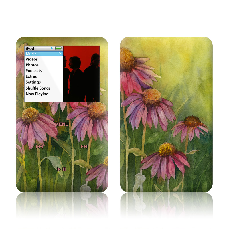iPod classic Skin design of Flowering plant, Purple coneflower, Coneflower, Flower, Plant, Watercolor paint, Wildflower, black-eyed susan, Petal, Daisy family, with black, green, red, gray, purple colors