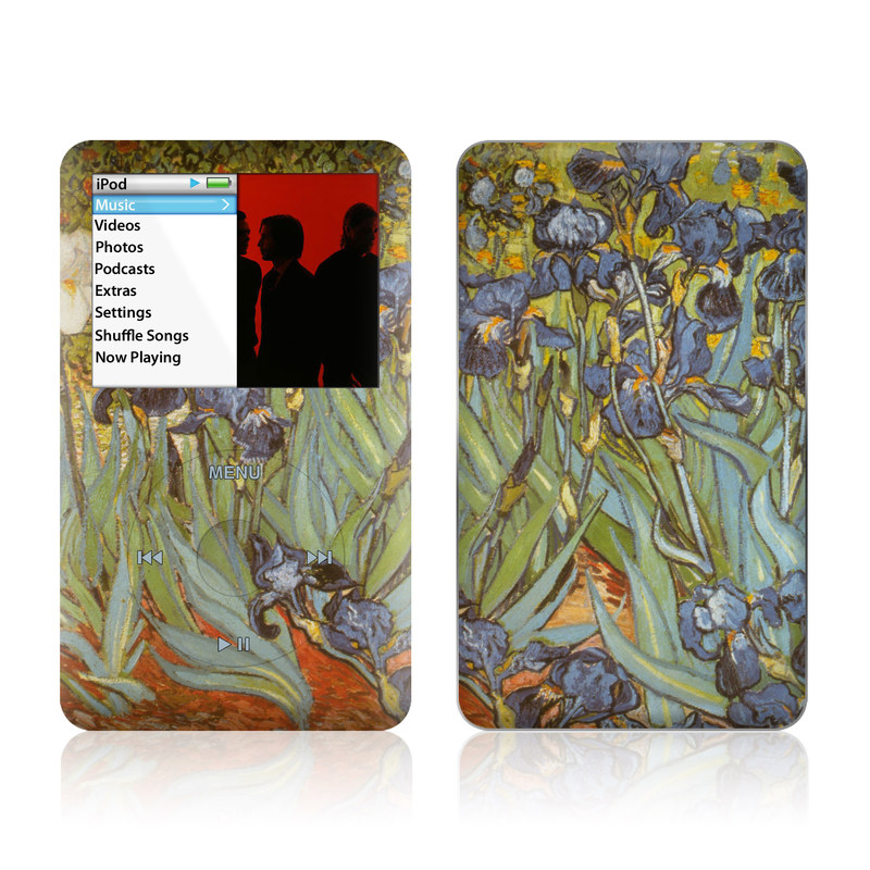 iPod classic Skin design of Painting, Plant, Art, Flower, Iris, Modern art, Perennial plant, with gray, green, black, red, blue colors