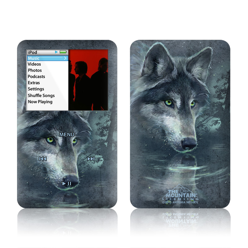 iPod classic Skin design of Wolf, Canidae, Wildlife, Red wolf, Canis, canis lupus tundrarum, Snout, Saarloos wolfdog, Wolfdog, Carnivore, with black, gray, blue colors