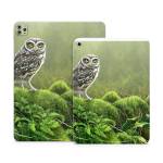 Tumbledown Apple iPad Series Skin