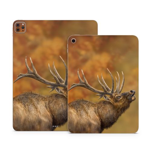 Bugle Boy Apple iPad Series Skin