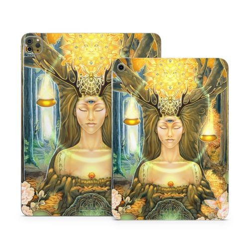 Cause And Effect Apple iPad Series Skin