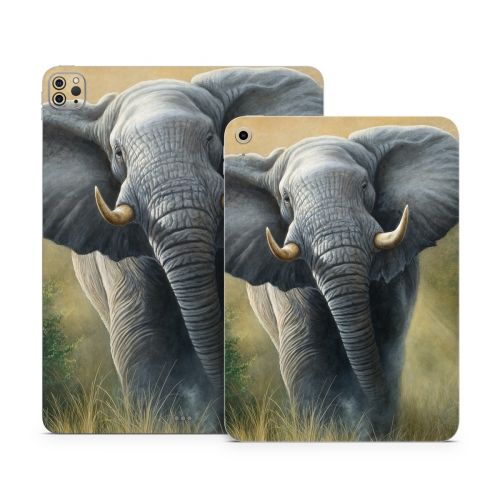 Right of Way Apple iPad Series Skin