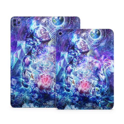 Transcension Apple iPad Series Skin