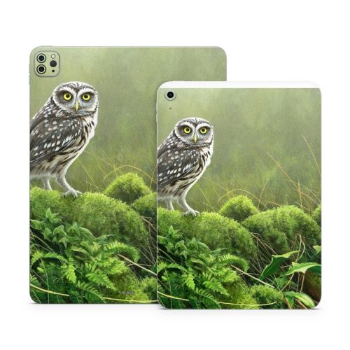 Tumbledown Apple iPad Series Skin