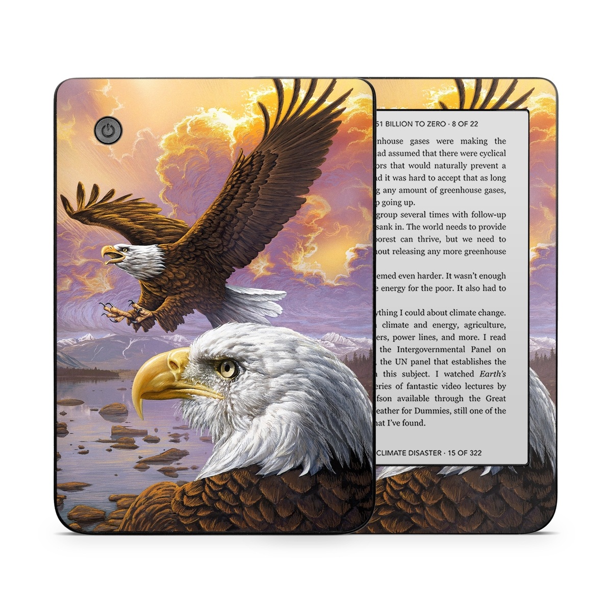 Kobo Clara 2E Skin design of Bird, Bird of prey, Bald eagle, Vertebrate, Eagle, Accipitriformes, Accipitridae, Golden eagle, Beak, Hawk, with gray, black, green, red, purple colors