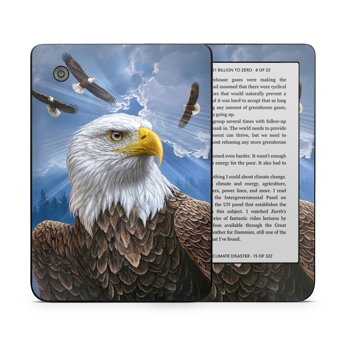 Kobo Clara 2E Skin design of Bird, Bald eagle, Bird of prey, Vertebrate, Accipitriformes, Accipitridae, Eagle, Nature, Beak, Kite, with blue, brown, white, yellow colors