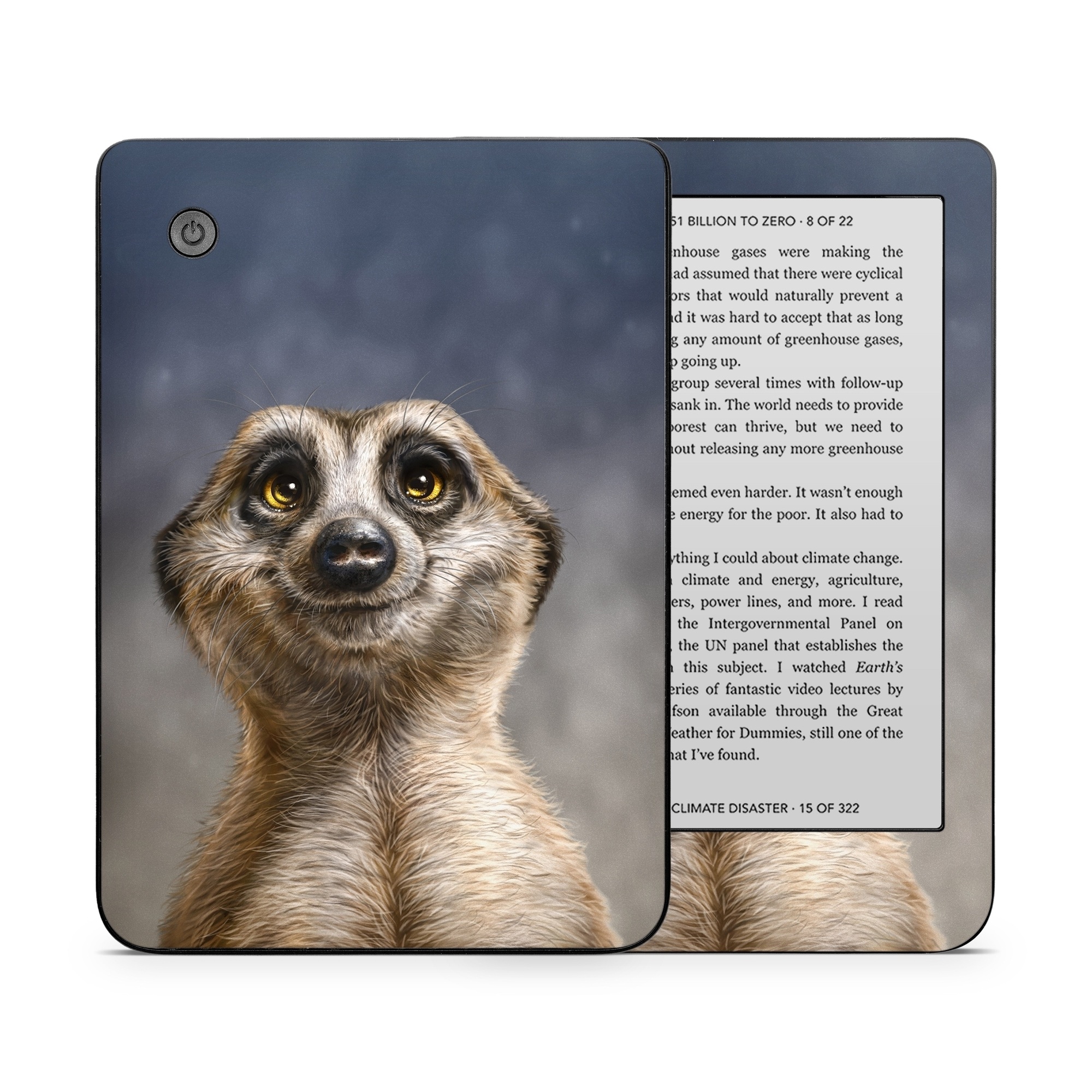 Kobo Clara 2E Skin design of Face, Head, Eye, Eyelash, Human body, Carnivore, Iris, Terrestrial animal, Whiskers, Snout, with white, gray, brown, yellow, black, blue colors