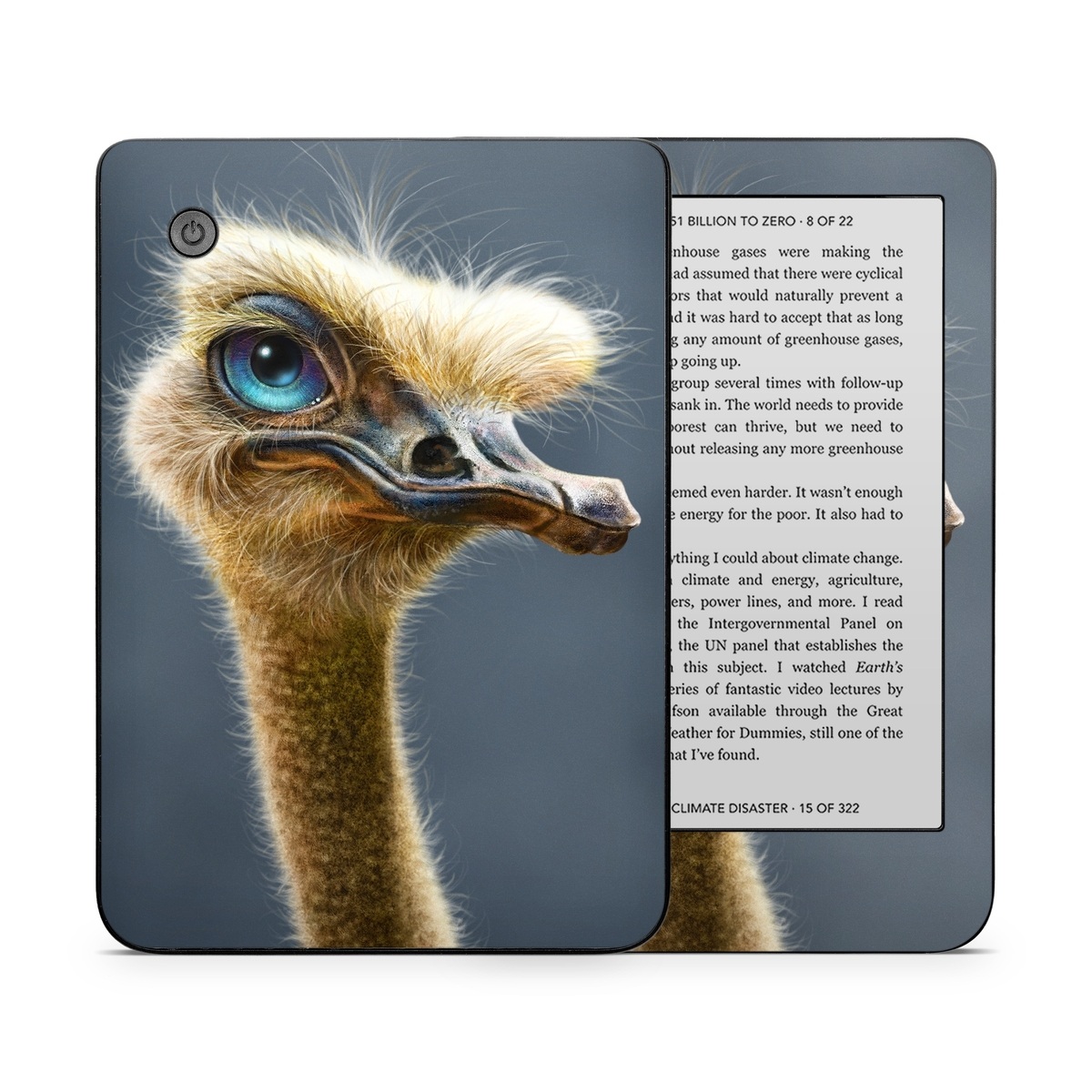 Kobo Clara 2E Skin design of Ostrich, Flightless bird, Ratite, Bird, Beak, Close-up, Emu, Wildlife, Organism, Terrestrial animal, with black, gray, blue, green, red colors